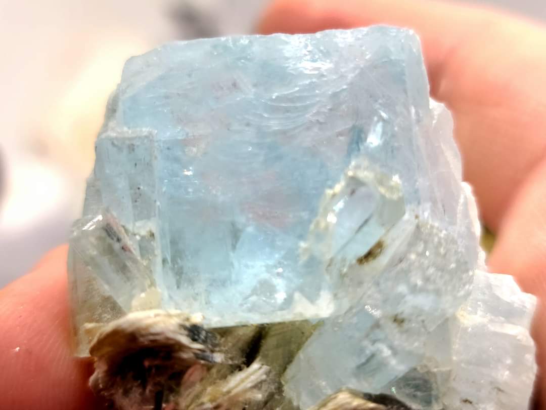 299 carat Aquamarine – Facet grade, High Quality Collector’s Specimen in Mica Matrix